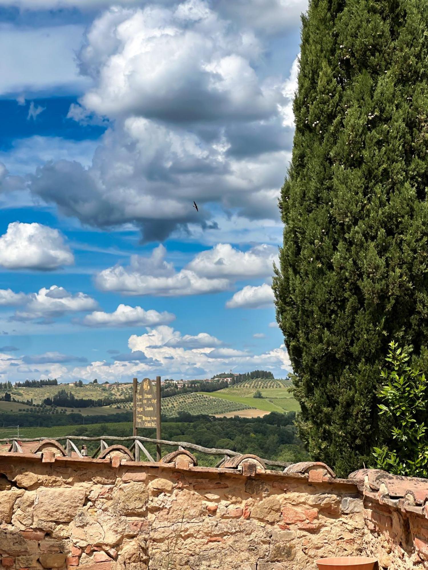 Agriturismo Fattoria Sant'Appiano Barberino di Val dʼElsa Eksteriør bilde