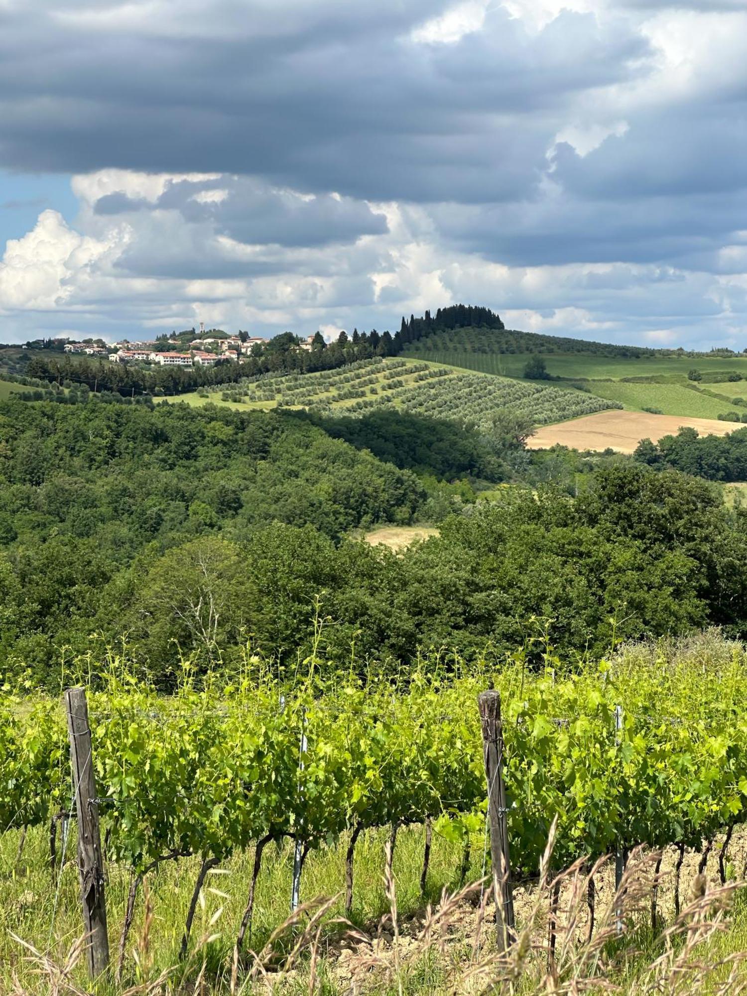 Agriturismo Fattoria Sant'Appiano Barberino di Val dʼElsa Eksteriør bilde